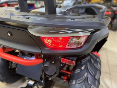 Квадроцикл Segway Snarler AT6 LE BASIC CVTech (канадский вариатор) с длинной базой. Фото N15