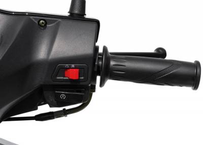 Скутер Regulmoto EAGLE 50 колёса R12. Фото N14