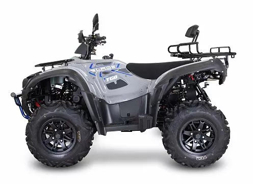 Blade 550 EPS. Фото N15