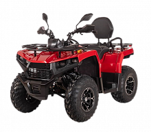 Bizon YK250 LUX EFI